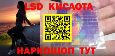 прущие грибы Пушкино