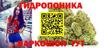 прущие грибы Пушкино
