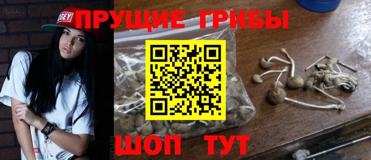 Севастополь  Псилоцибиновые грибы Magic Shrooms  Галлюциногенные грибы Psilocybe  Вход с VPN 